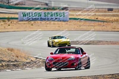 media/Jan-29-2025-Open Track Racing (Wed) [[4d1025e356]]/Red Group/Session 2 (Turn 4)/